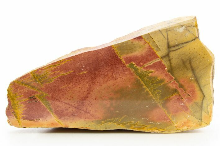 Polished Cherry Creek Jasper - China #318963